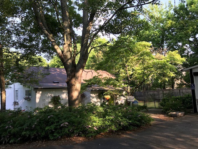 More Photos Of 103 Bowles Dr, Woodstock Office For Sale