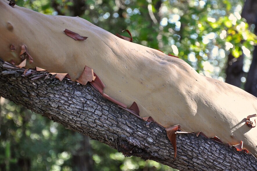 More Photos Of 128 Ridgecrest Road, Kentfield Land For Sale