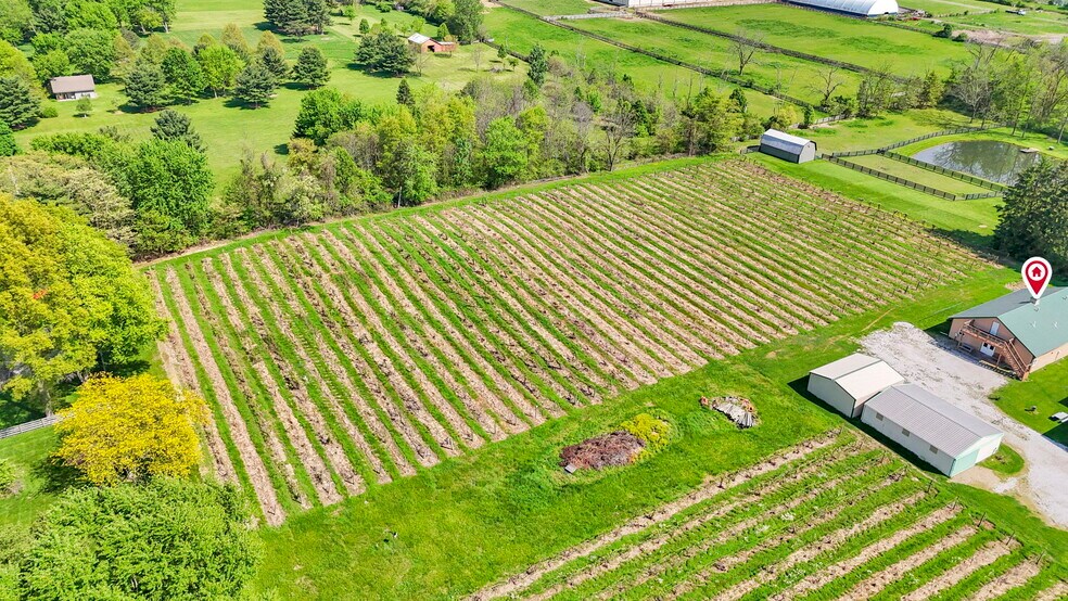 More Photos Of 1900 Winchester Southern Rd, Canal Winchester Winery Vineyard For Sale