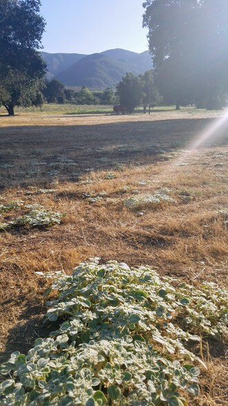 More Photos Of 35250 Hwy 79, Warner Springs Land For Sale