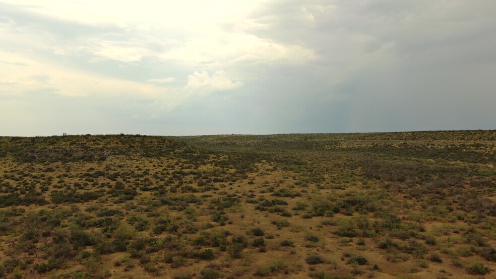 More Photos Of 0100 Cactus Rose Ln, Ozona Land For Sale