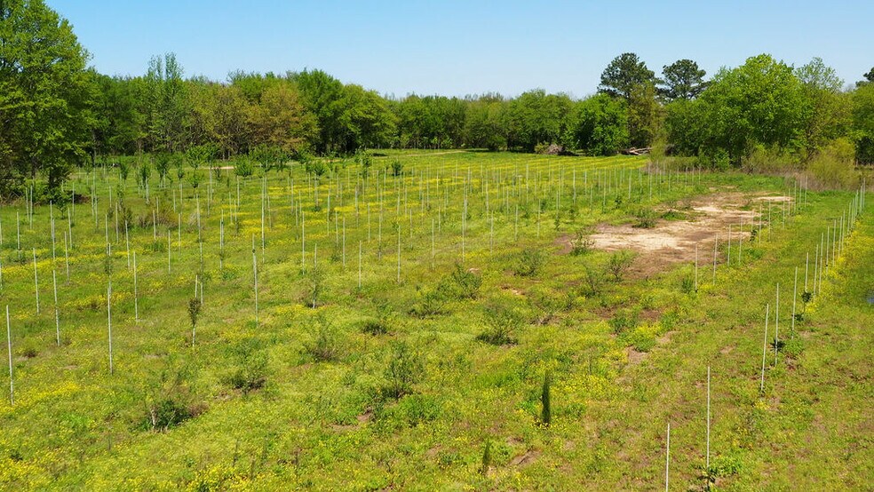 More Photos Of 500 Tree Farm Rd, Garvin Land For Sale