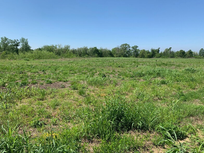 More Photos Of 000E-2C Highway 61, Natchez Land For Sale