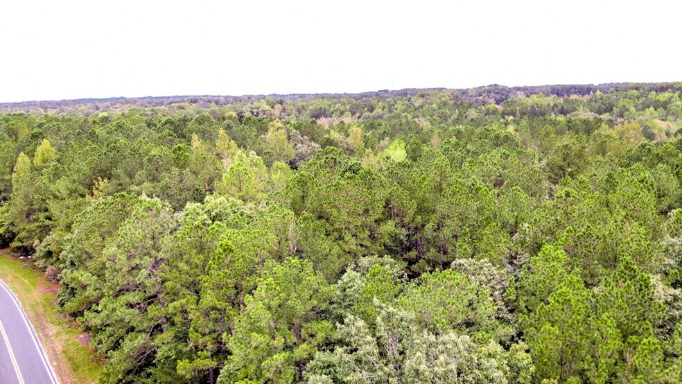 More Photos Of 300 Milton Welch (47+ acres - address # est) Rd, Sanford Land For Sale