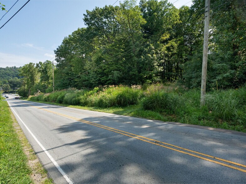 More Photos Of 3118 Sweeten Creek Rd, Asheville Land For Sale