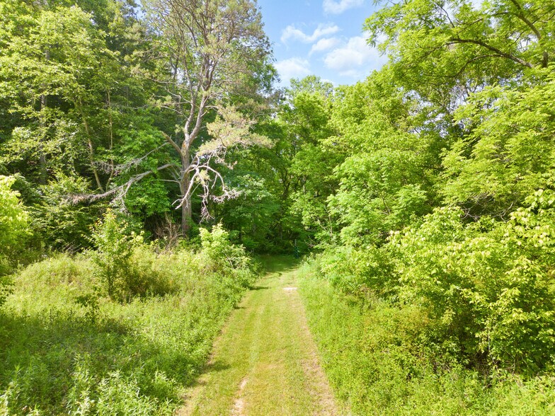 More Photos Of 316 KY-172, Staffordsville Land For Sale