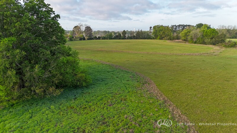 More Photos Of TBD Virlilia Rd, Canton Land For Sale
