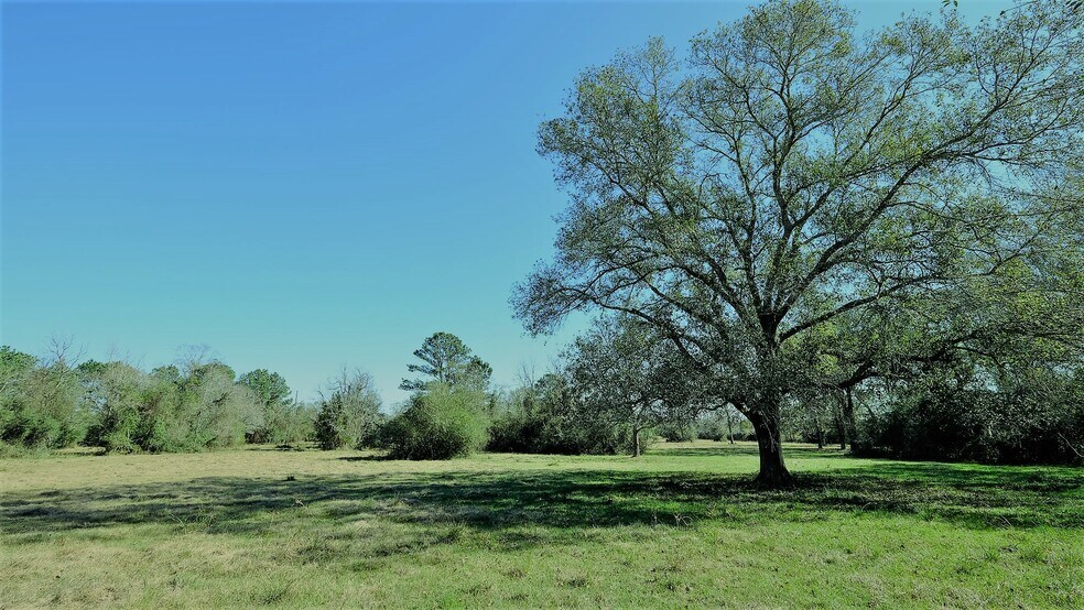 More Photos Of 26266 Fields Store Rd., Waller Land For Sale