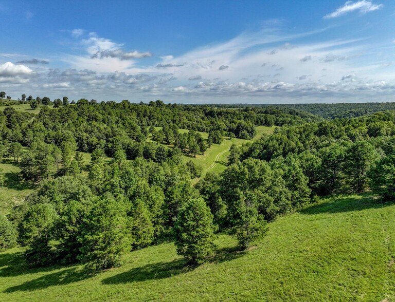 More Photos Of Hwy 65 and Old Hwy US 65, Omaha Land For Sale