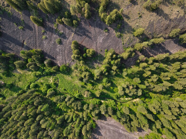 More Photos Of 45XXX Devore Rd, Davenport Land For Sale