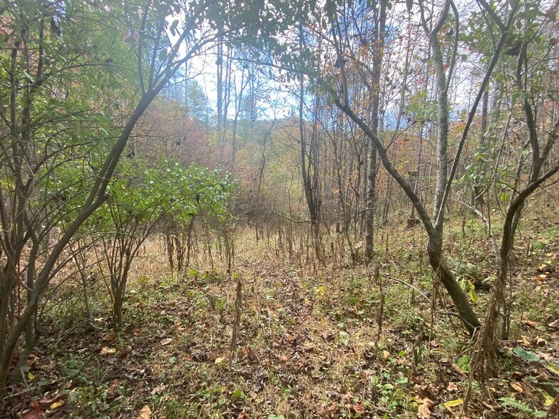 More Photos Of 23 Lana Ln, Burnsville Auto Repair For Sale