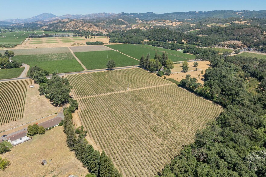 More Photos Of 79 Zinfandel Ln, Saint Helena Land For Sale