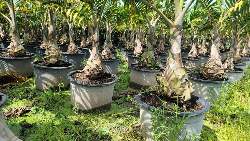 More Photos Of SW 172 ST, Miami Land For Sale