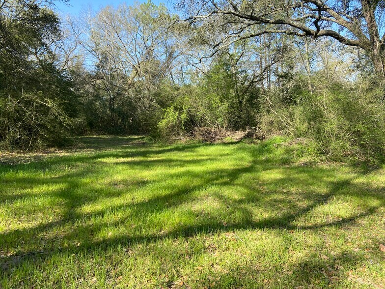 More Photos Of 24030 Hegar Rd, Hockley Land For Sale