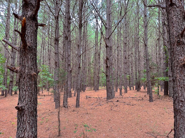 More Photos Of US 401 S Hwy, Youngsville Land For Sale