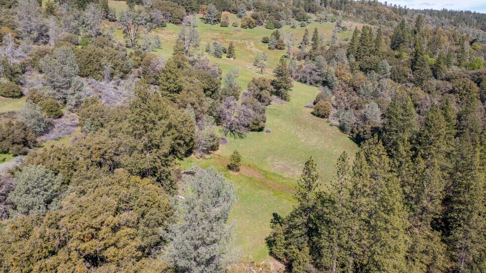 More Photos Of 18800 Charleston Rd, Volcano Land For Sale