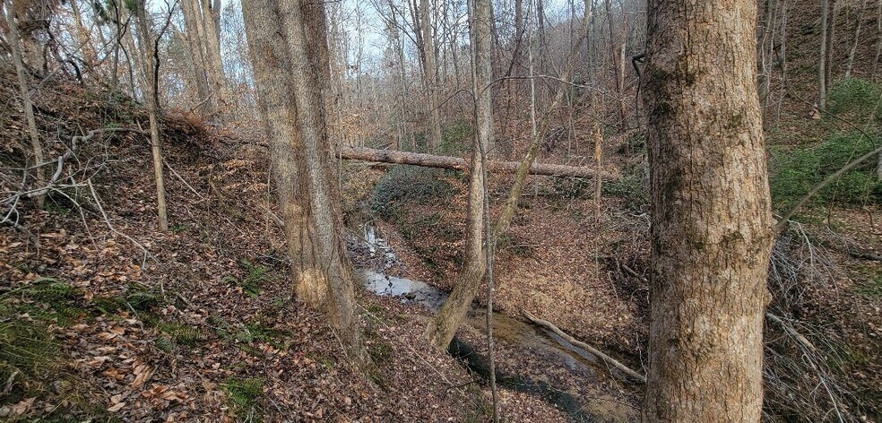 More Photos Of Thompson Chapel Rd, Spartanburg Land For Sale