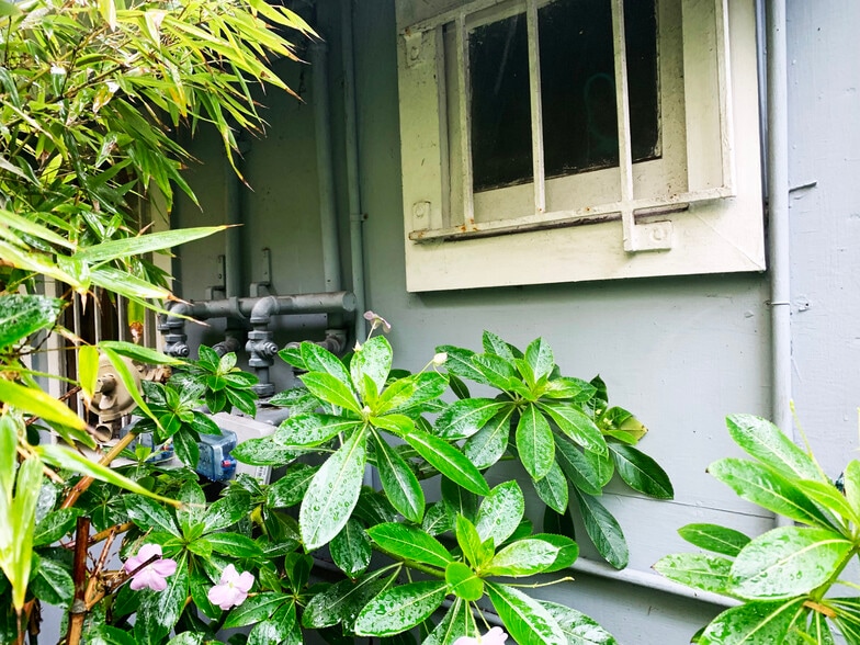 More Photos Of 1201 Pacific Ave, San Francisco Storefront Retail Residential For Lease