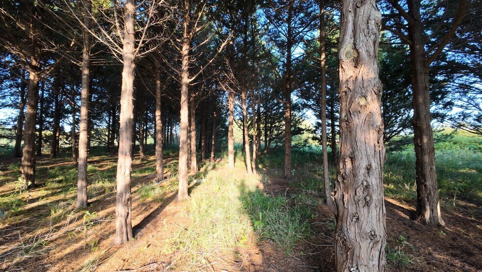 More Photos Of Walker Road, North Platte Land For Sale