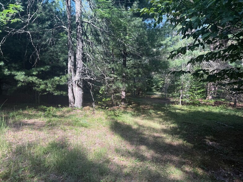 Primary Photo Of 375 Ormsbee Rd, Porter Corners Land For Sale