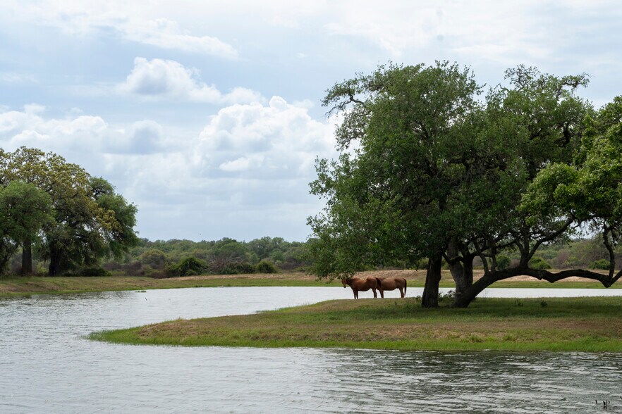 More Photos Of CR 19, Hallettsville Land For Sale