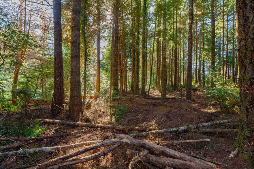 More Photos Of 0 Newmark ave, North Bend Land For Sale