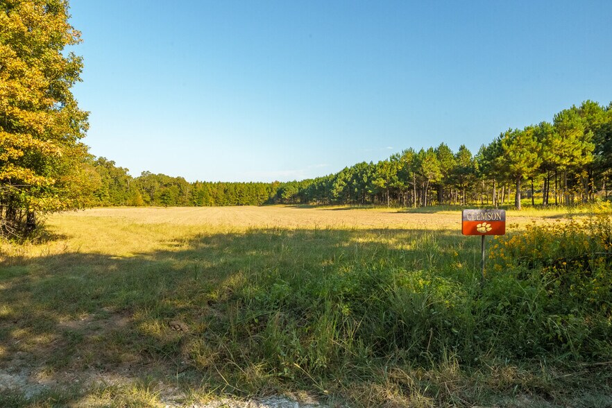 More Photos Of 18618 Hwy 43, Linden Land For Sale