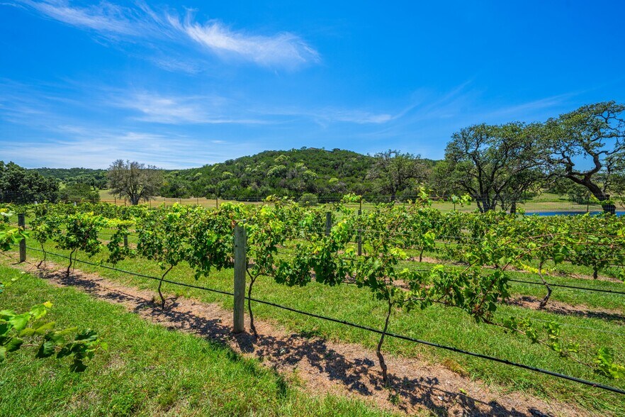 More Photos Of 5081 Bandera Hwy, Camp Verde Winery Vineyard For Sale