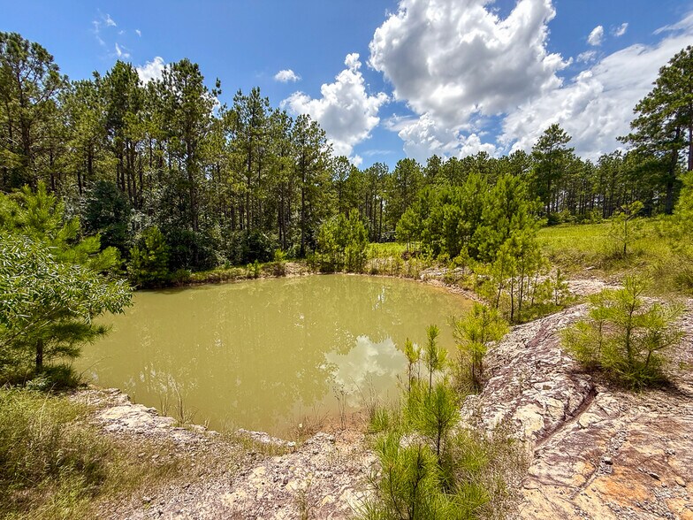 More Photos Of 1682 FM 980 Rd, Huntsville Land For Sale