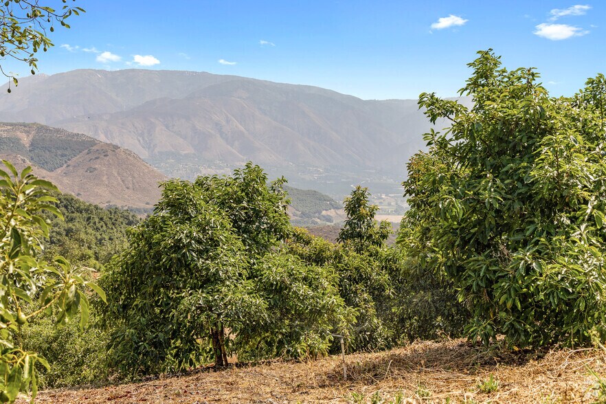 More Photos Of 36727 Muutama Ln, Valley Center Land For Sale