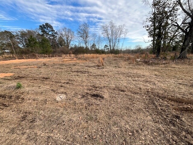 More Photos Of 52000 Block US-31 Hwy, Perdido Land For Sale