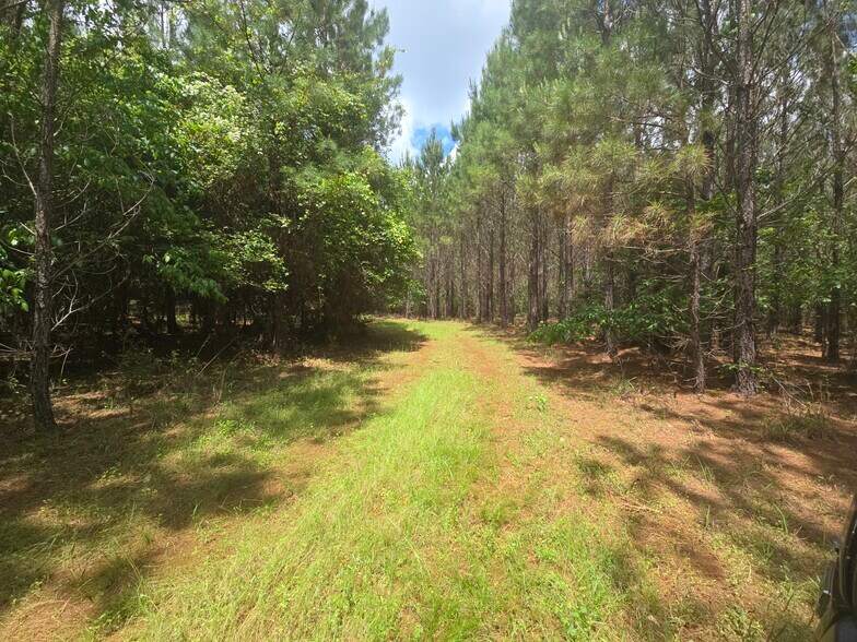 More Photos Of Davis Lake Rd @ Old Talbotton Rd, Thomaston Land For Sale