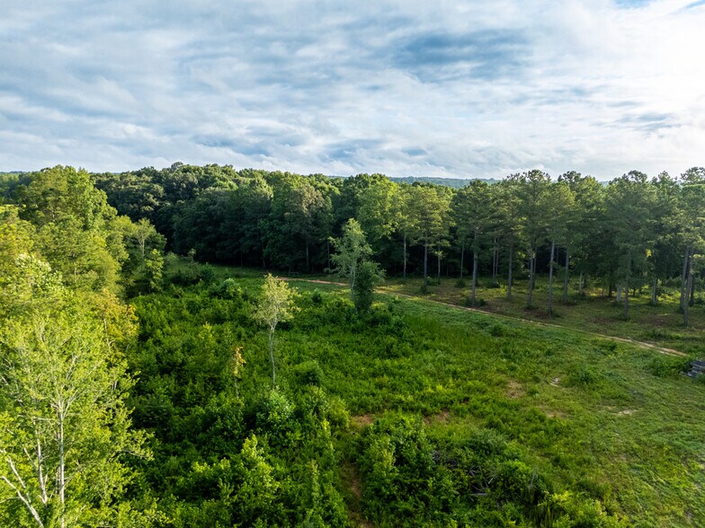 More Photos Of 2199 Roosterville Rd, Roopville Horse Stables For Sale