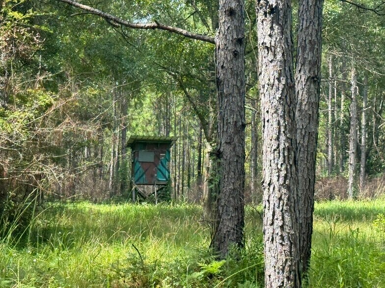 More Photos Of 0 Nokomis Road, Walnut Hill Land For Sale