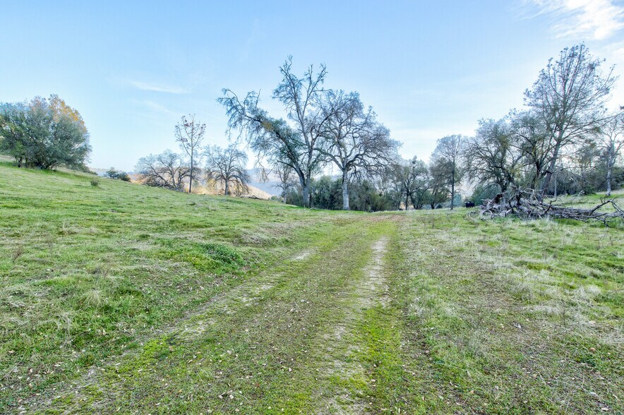 More Photos Of 50871 Road 200, O Neals Land For Sale