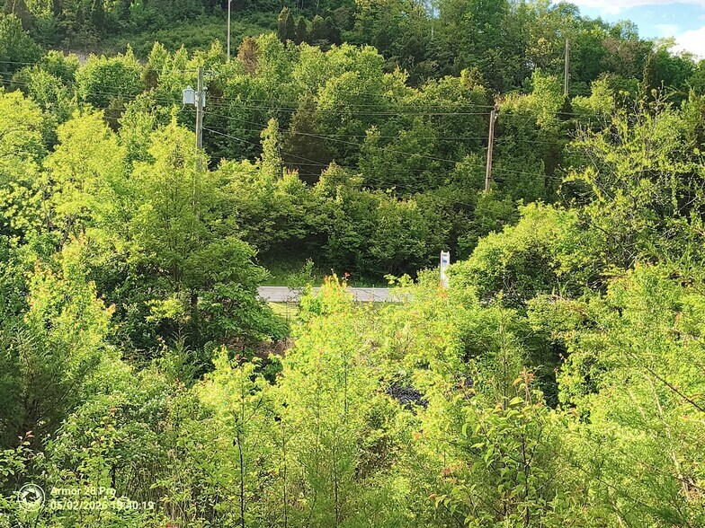 More Photos Of 785 Horsebranch Rd, Edgewood Land For Sale