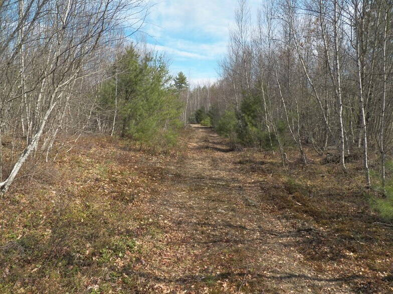 More Photos Of 988 Dover Rd, Epsom Land For Sale