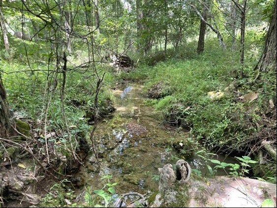 More Photos Of 2245 Big Ivy Rd, Savannah Land For Sale