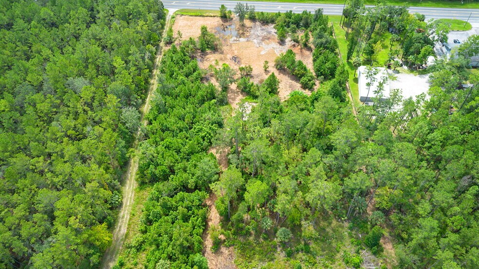 More Photos Of 10951 Sr 40, Silver Springs Land For Sale