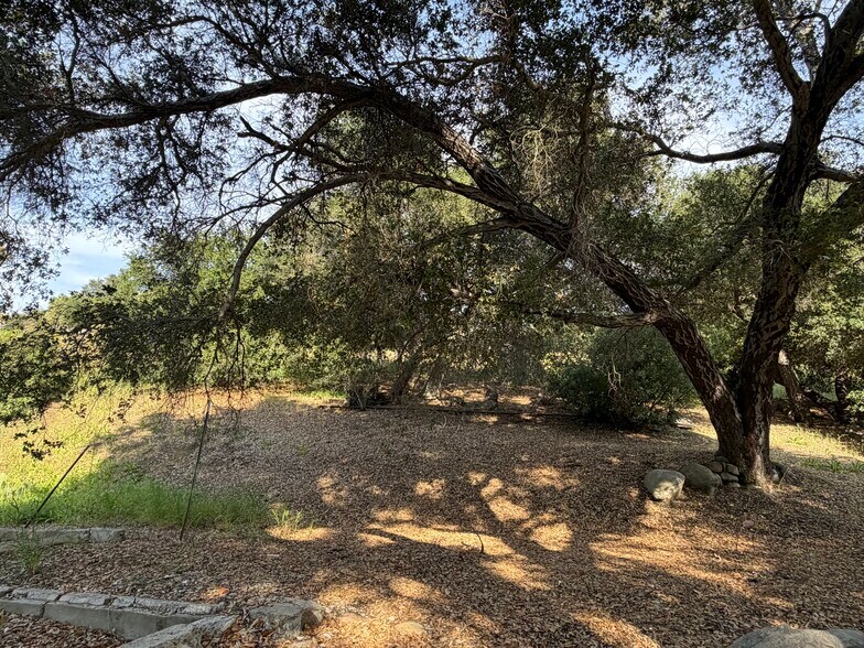 More Photos Of 265 Encino, Oak View Land For Sale