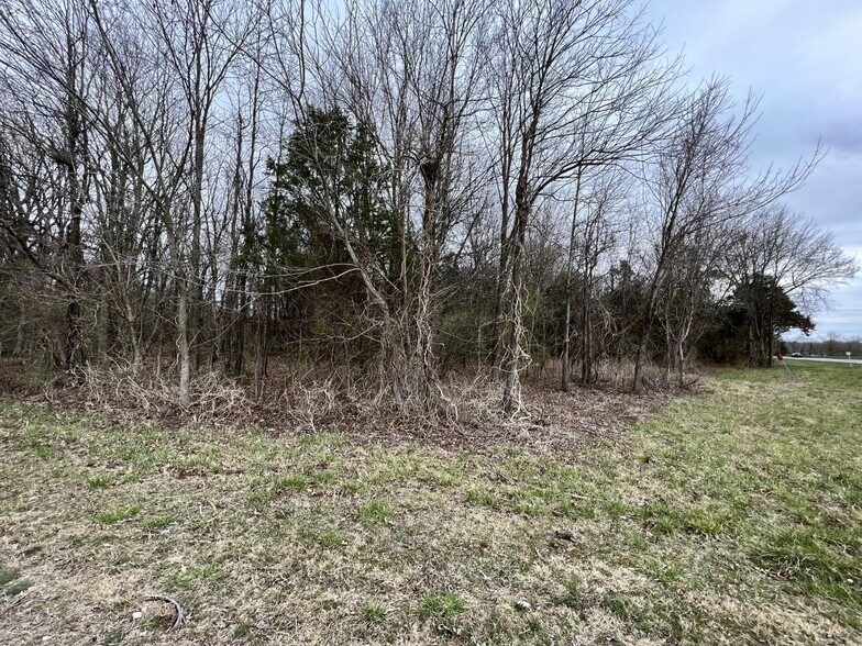 More Photos Of 00 US Highway 51, De Soto Land For Sale