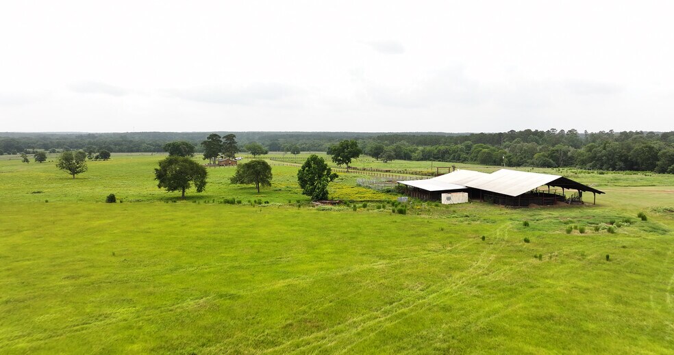 More Photos Of 44 Bucking Bull Rd, New Waverly Land For Sale