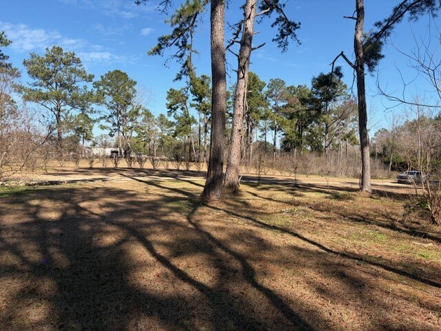 More Photos Of Louvinia Dr, Tallahassee Land For Sale