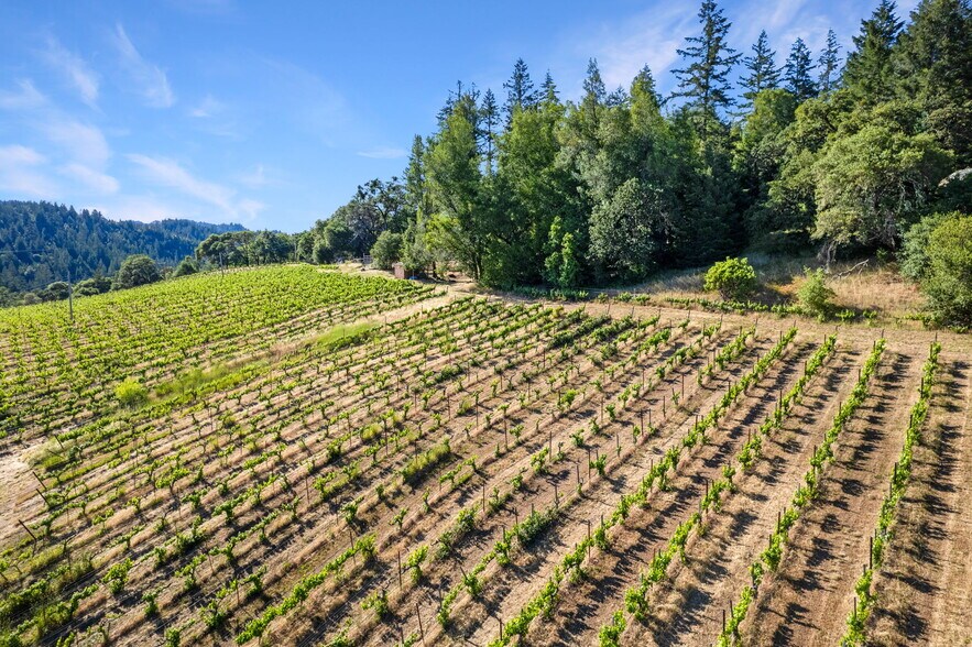 More Photos Of 20799 Highway 128, Yorkville Winery Vineyard For Sale