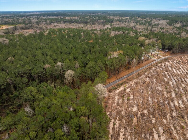 More Photos Of TBD 11 acres Tatoo Rd, Glenmora Land For Sale