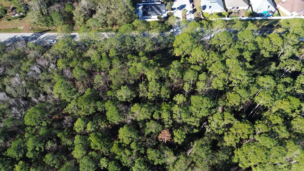 More Photos Of 0 Baxley Rd, Middleburg Land For Sale
