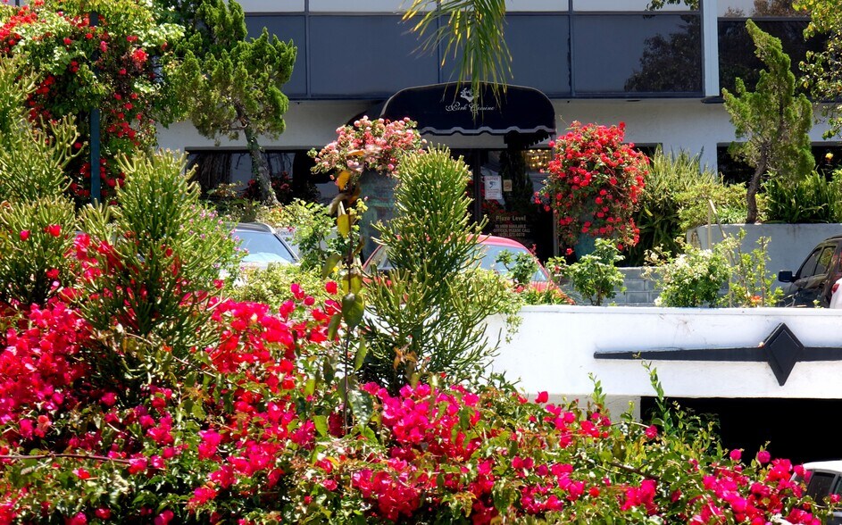 More Photos Of 2667 Camino del Rio S, San Diego Office For Lease