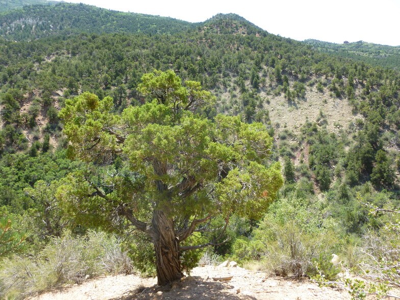 More Photos Of 680 SO Hwy, Cedar City Land For Sale