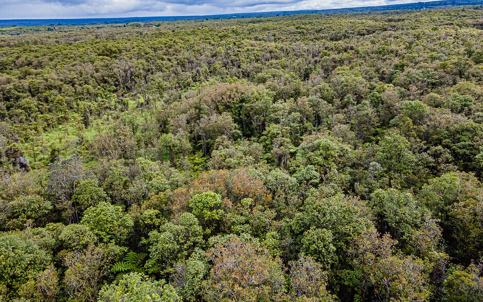 More Photos Of Mauna Loa Dr, Volcano Land For Sale