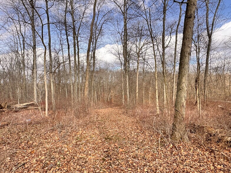 More Photos Of 15 GLECOE Rd, Dellroy Land For Sale